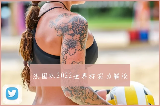 法国队2022世界杯实力解读