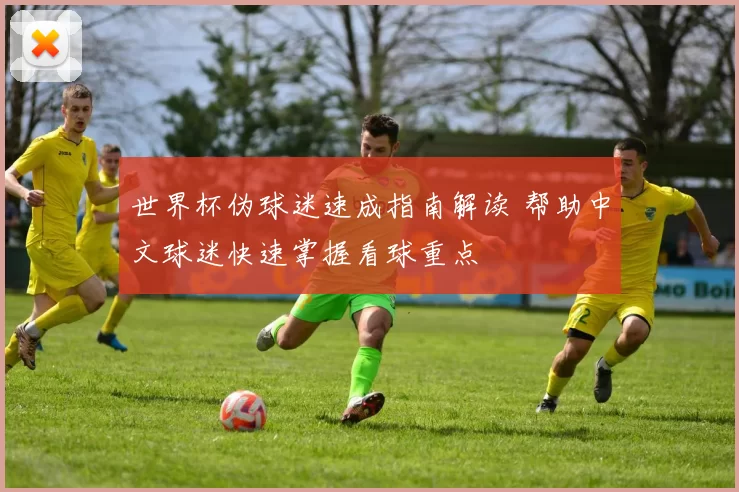 世界杯伪球迷速成指南解读 帮助中文球迷快速掌握看球重点