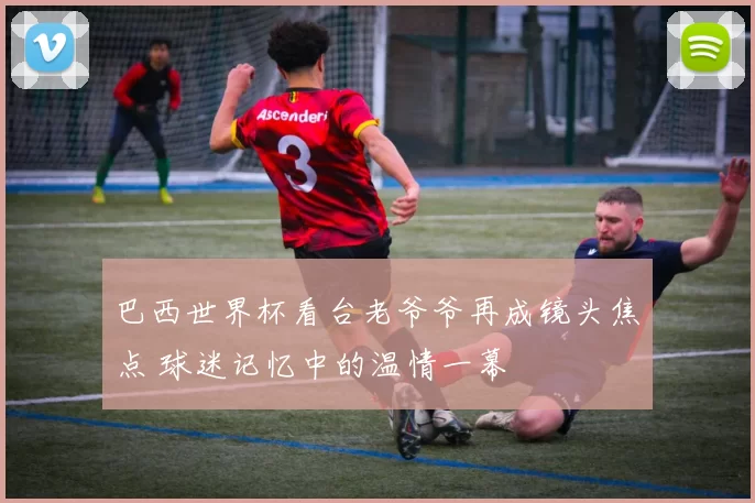 巴西世界杯看台老爷爷再成镜头焦点 球迷记忆中的温情一幕