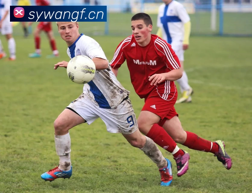 多媒体互动体验